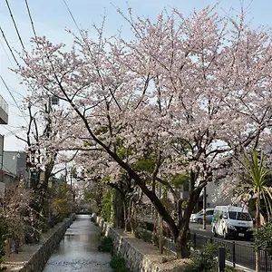 初音 Kyoto