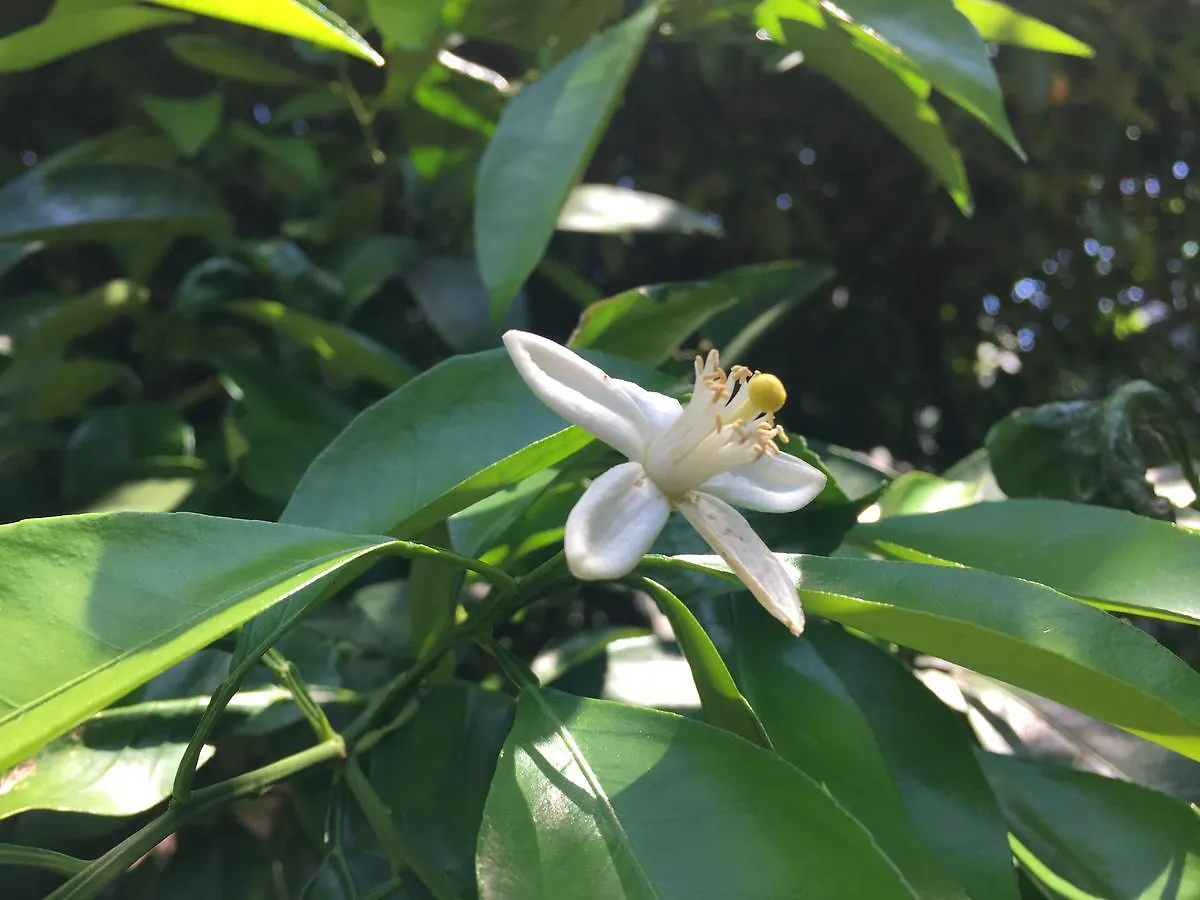 ** Guest house Mokkoan Hotel Tokyo Japan